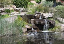 Native oasis to make first public opening