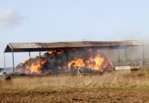 The science behind hay fires