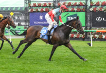 Price preaching as promising Sabaj set for higher honours