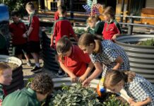 Nurturing Hearts and Minds