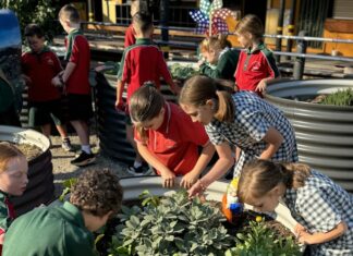 Nurturing Hearts and Minds