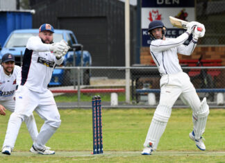 Cougars pounce on day one