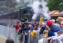 Rotary Fun Run brings community together for hospital fundraiser