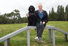 Dog park left behind