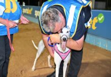 Pressure valve released Without A Trace