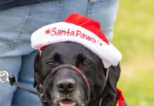Santa makes special visit to Officer