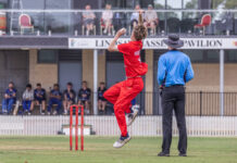 Swans still in the hunt