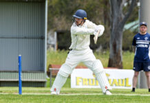 Catani the big winners in wet weekend of cricket