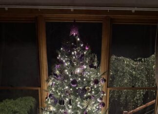 Christmas tree in all its holiday glory