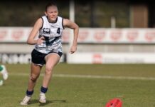 Gippsland speedster becomes a Tiger