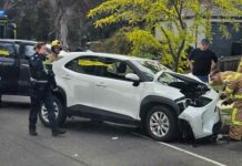 Bitter-sweet Christmas for hit-and-run victims