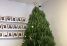 Little Saints Christmas Spirit