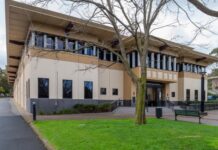 Hit-run driver to face sentence