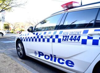 Shopping centre blitz sees over 100 arrests