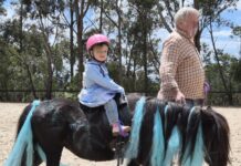 On the Land: Young riders galloping to the top