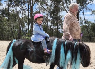 On the Land: Young riders galloping to the top