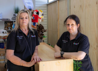 Year in Review: Small business in ruins