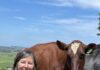 Australia’s dairy cows staying longer in the herd