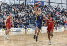 Basketball Victoria leading the way with road safety message