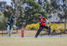 Lions begin the big squeeze