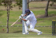 Twin tons set up Lions