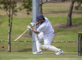 Twin tons set up Lions