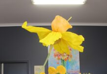 Victoria records highest-ever number of cancer diagnoses