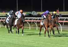 Highest bar set for Hedged