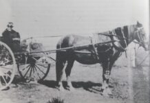 Pakenham History: Mary travelled far and wide to provide medical care