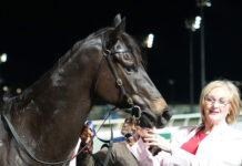 Landscape complete as Alderson and Bates claim Group 1’s