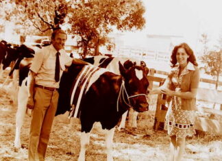 Looking back through the archives