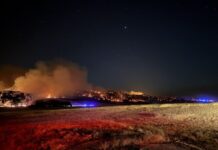 Managing and treating dams in fire affected areas