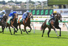 The Big Sky shows no limit