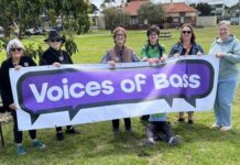 ‘Shake things up’, independent group declare run for Bass in upcoming state election