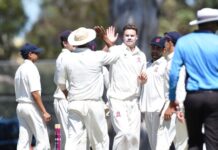 Panthers prowl then pause