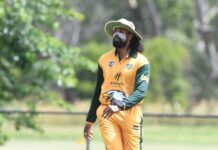 Falcons rise as Noble stalls