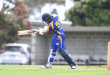 Noble knocked from perch