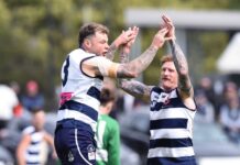 2025 In Review – Goon’s shield of Armour