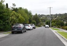 Residents continue disputes over $310,000 Overflow Carpark in Residential Area