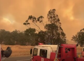 Casey fire brigades deployed to support efforts against raging bushfires