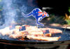 Local Australia Day events