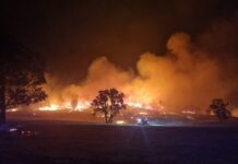 Local firefighters deployed to bushfires across the state, describe ‘devastating’ scenes