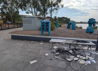 Teens deliberately set Dragon Park ablaze