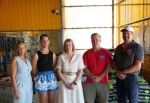 Traders launch petition demanding Government compensation