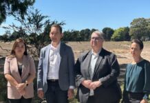 $8.5 million in Illegal Dumping Clean-Up Rebate