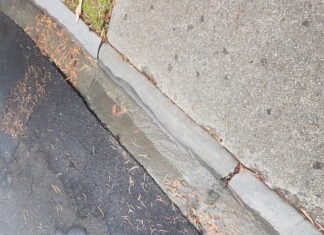 Authorities slammed over leak