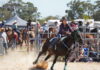 Bunyip Rodeo rides again