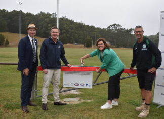 Cockatoo ground lights up