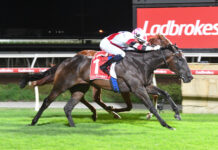 Plunger patience pays off