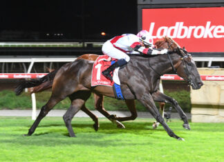 Plunger patience pays off